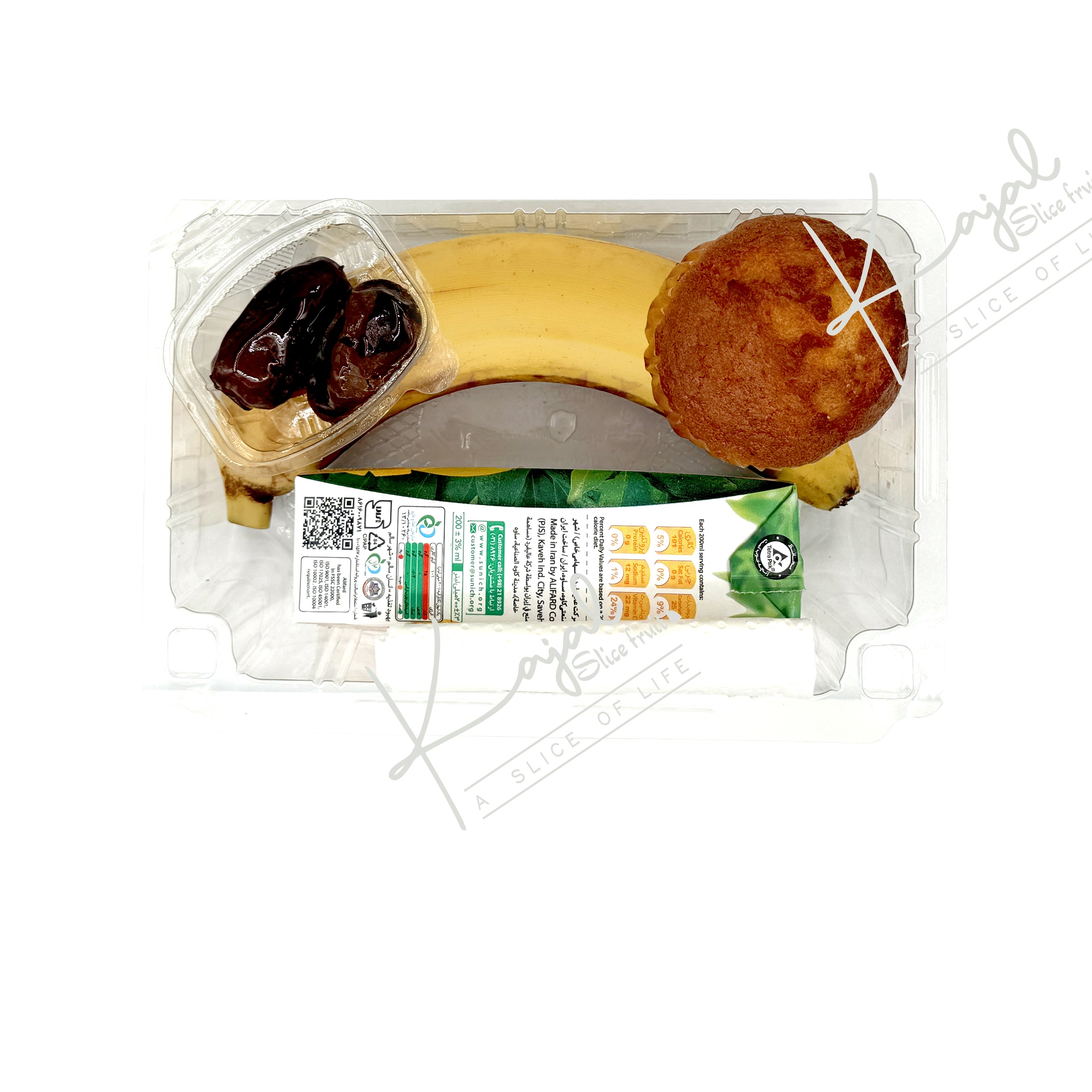 IMG_20240831_002207_745-1