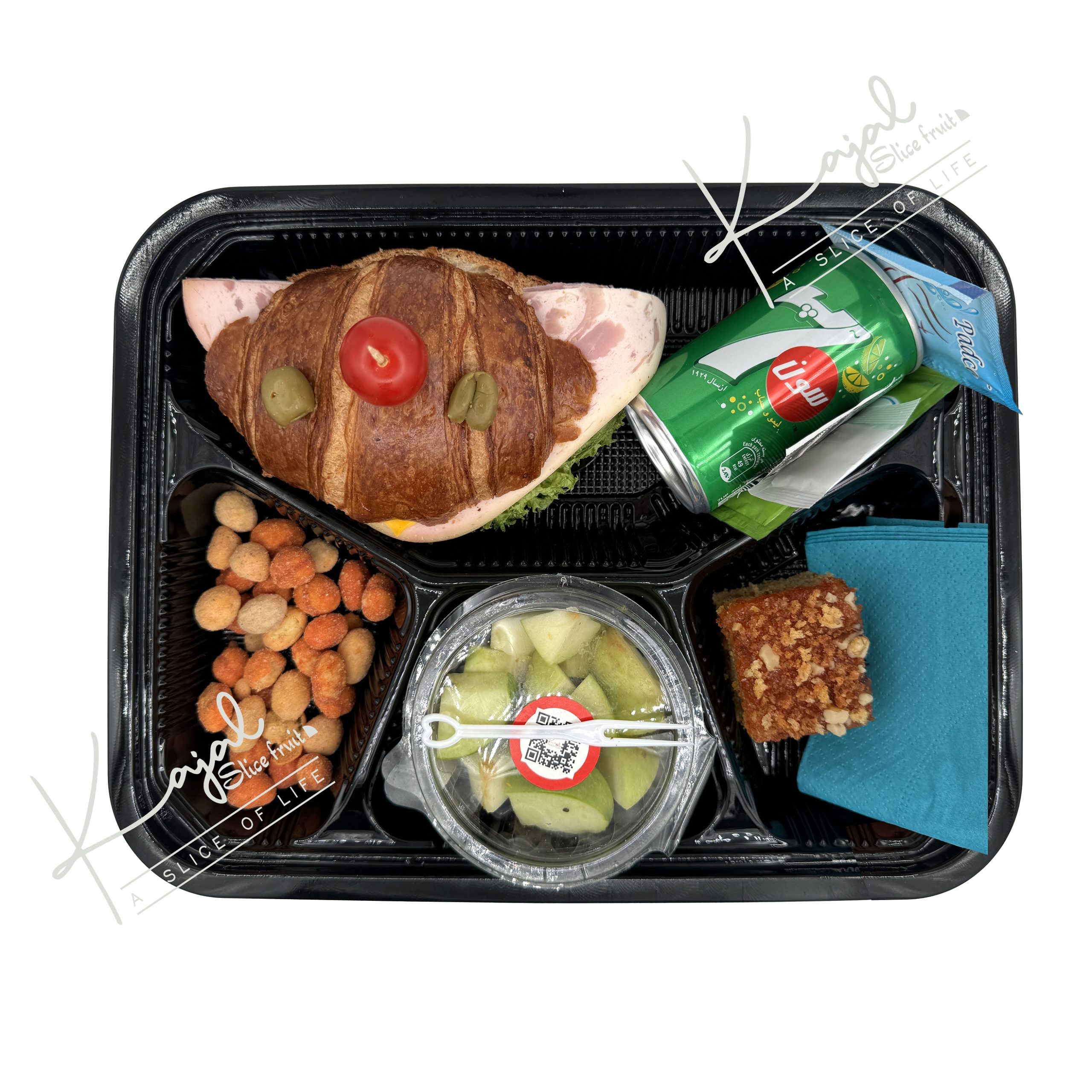 IMG_20240831_002319_633-1